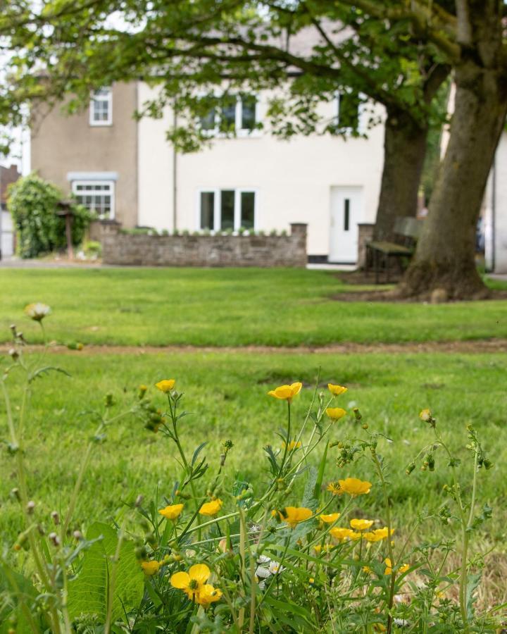Work And Relax - Fast Wifi, Fireplace & Near Pub Newton Aycliffe Exteriér fotografie